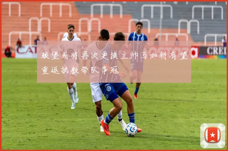 狼堡或将再次更换主帅马加特有望重返执教带队争冠